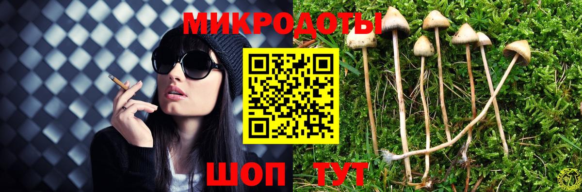 Псилоцибиновые грибы GOLDEN TEACHER  Псилоцибиновые грибы Cubensis  Гусев  Вход с VPN 
